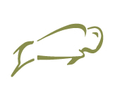 Bison Financial Group Logo